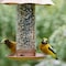 Global Harvest Foods Songbird Selections Wild Bird Nuts Bird Seed 10 lb 13636 - alternate 9